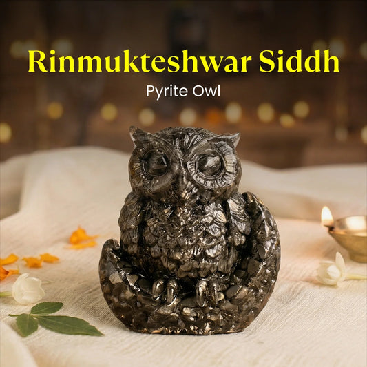 Pyrite Owl