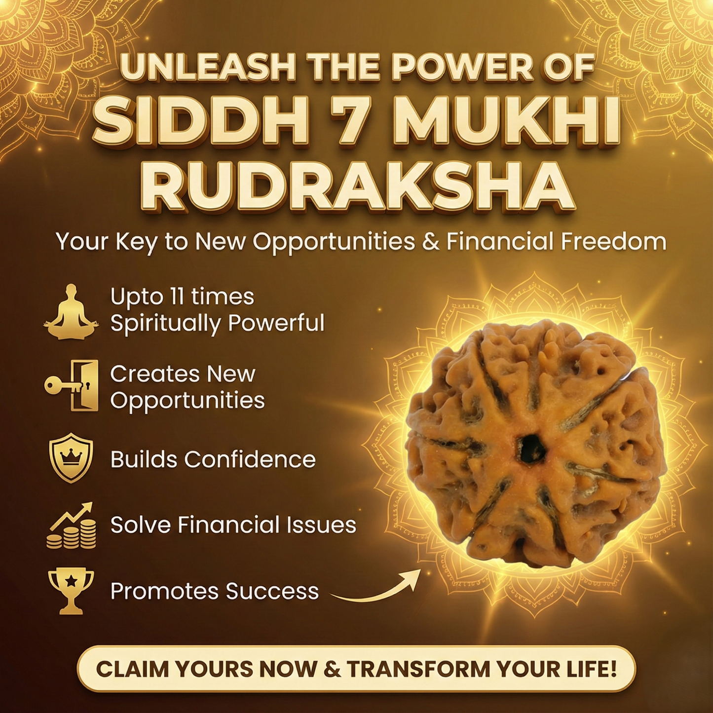 7 Mukhi Rudraksha - Siddh