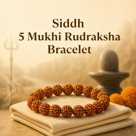 5 Mukhi Rudraksha Bracelet