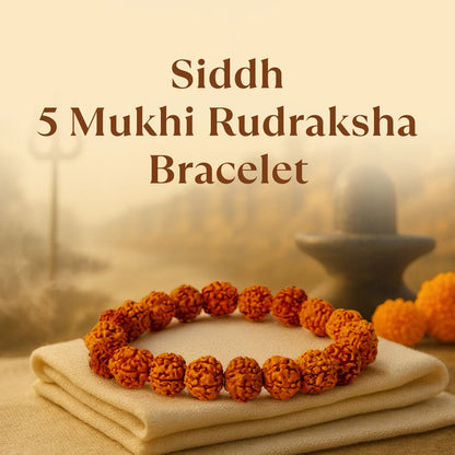 5 Mukhi Rudraksha Bracelet
