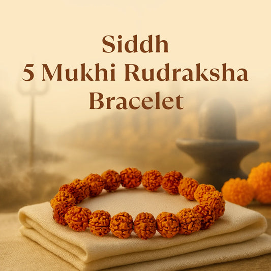 5 Mukhi Rudraksha Bracelet