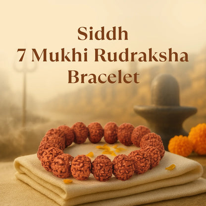 7 Mukhi Rudrakash Bracelet
