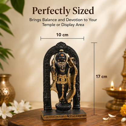 Ayodhya Ram Lalla Murti