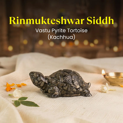 Maha Lakshmi Siddh Vastu Pyrite Tortoise