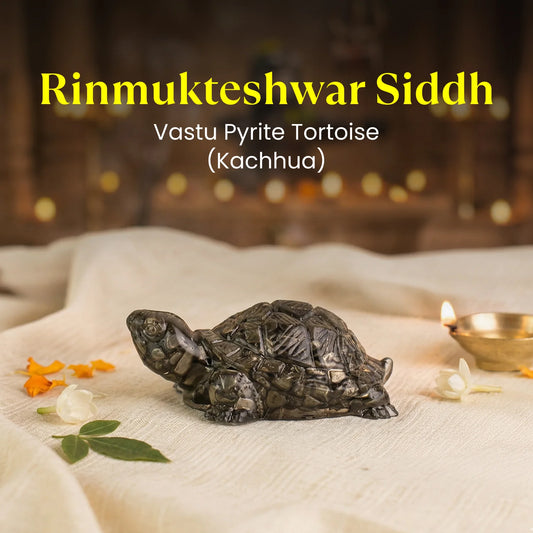 Maha Lakshmi Siddh Vastu Pyrite Tortoise