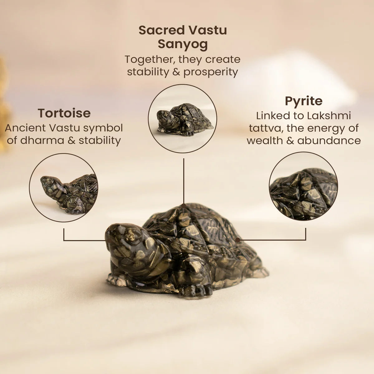Maha Lakshmi Siddh Vastu Pyrite Tortoise