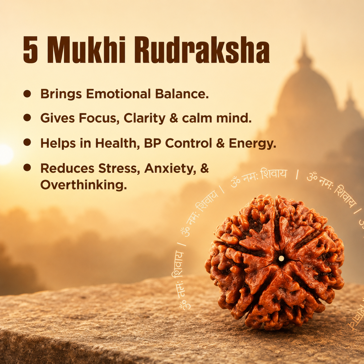 5 Mukhi Rudraksha - Siddh