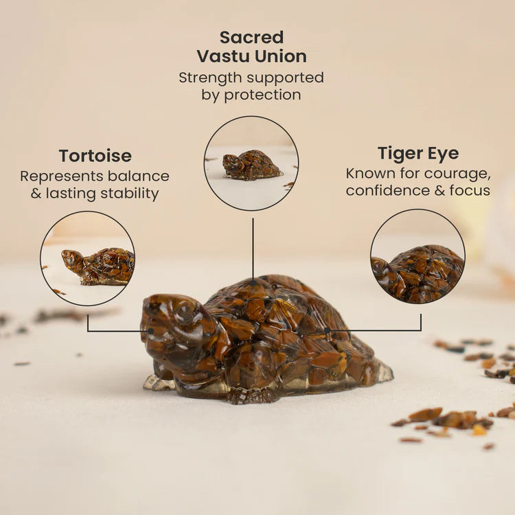 Vastu Tiger Eye Tortoise