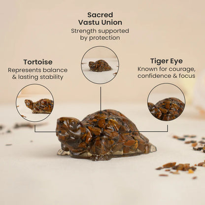 Vastu Tiger Eye Tortoise