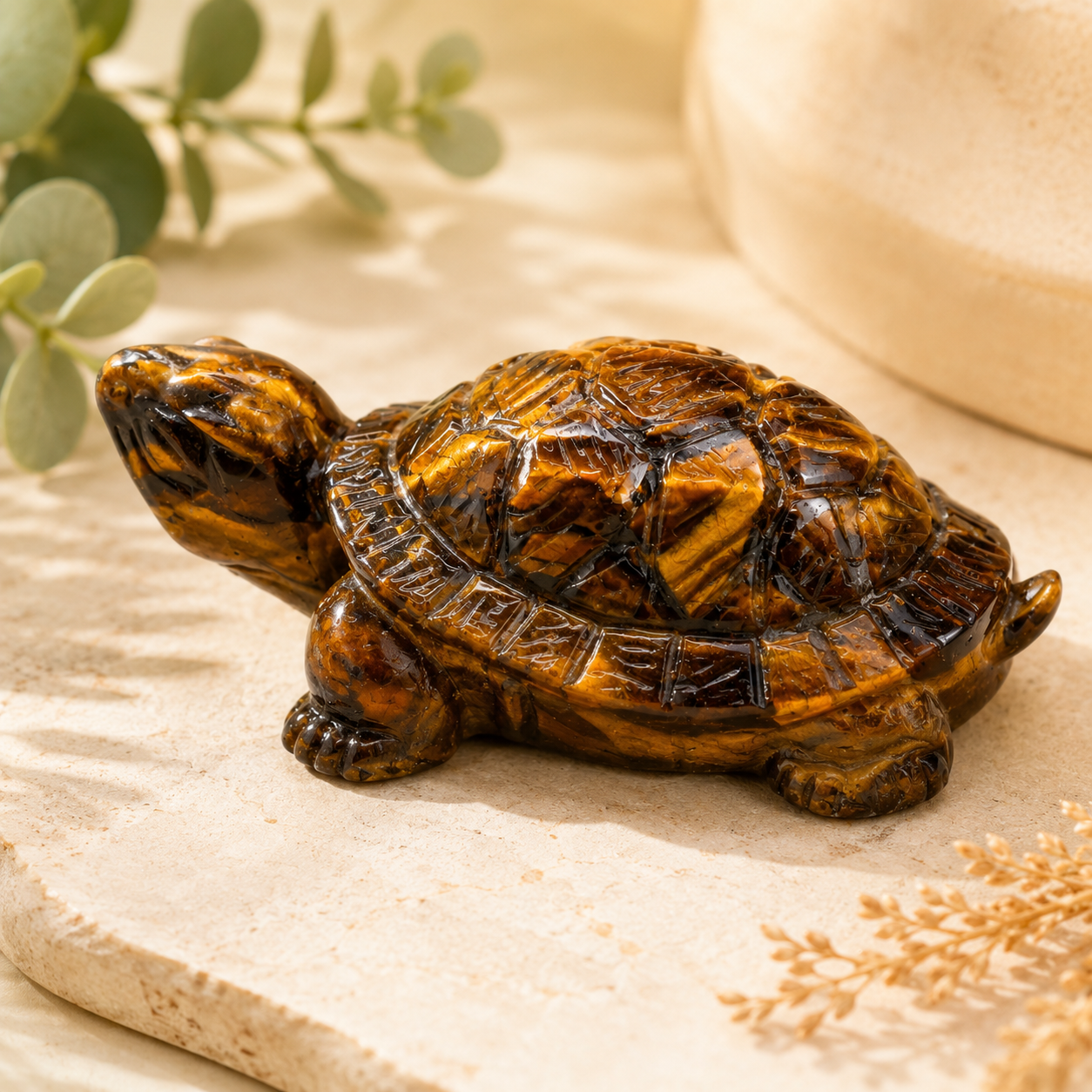 Vastu Tiger Eye Tortoise