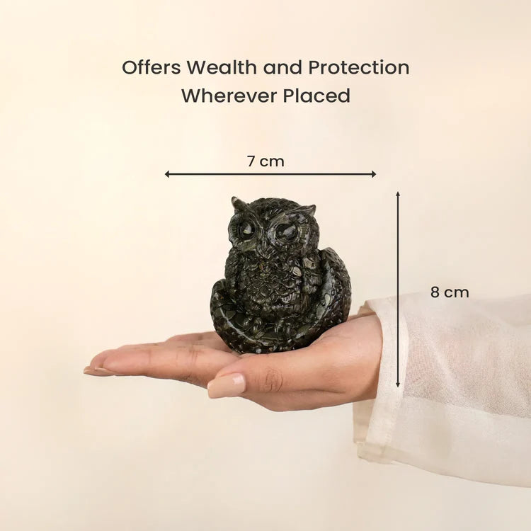 Pyrite Owl