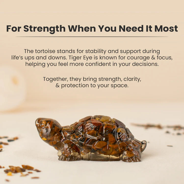 Vastu Tiger Eye Tortoise