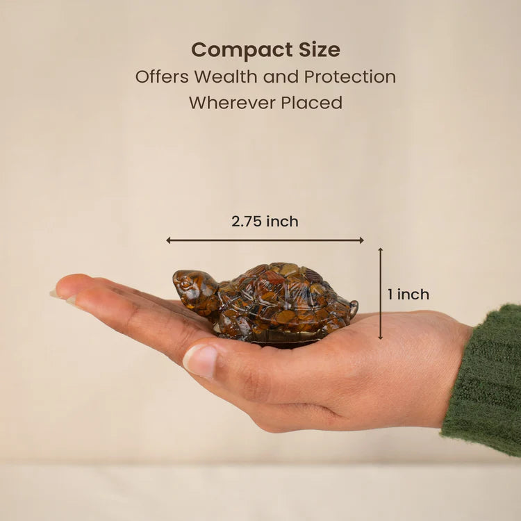 Vastu Tiger Eye Tortoise