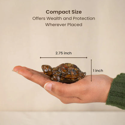 Vastu Tiger Eye Tortoise
