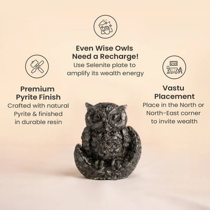 Pyrite Owl