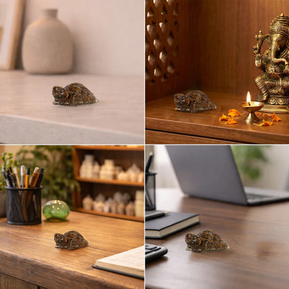 Vastu Tiger Eye Tortoise