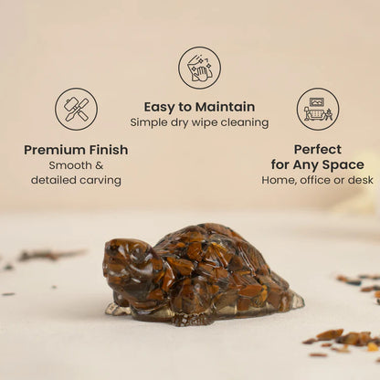 Vastu Tiger Eye Tortoise