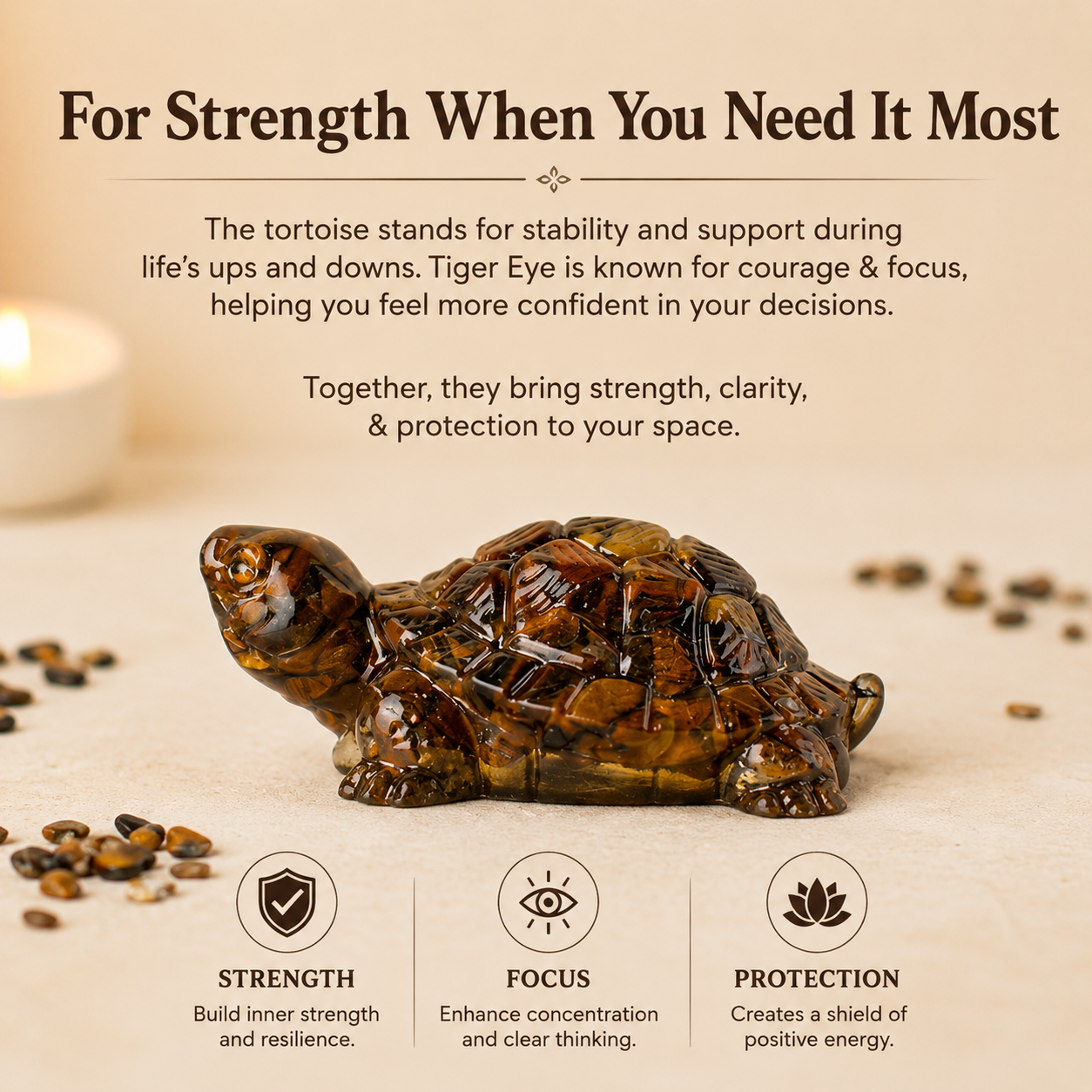 Vastu Tiger Eye Tortoise